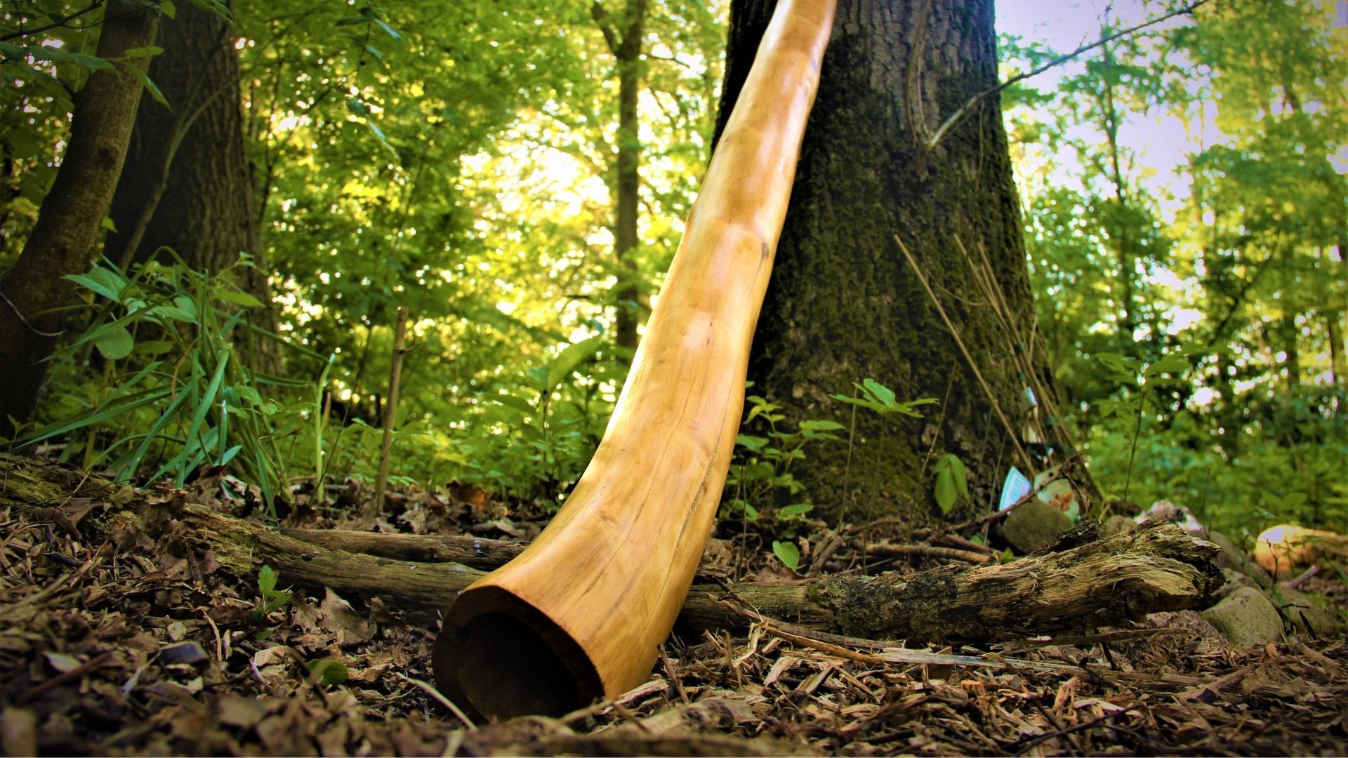 Workshop Didgeridoo